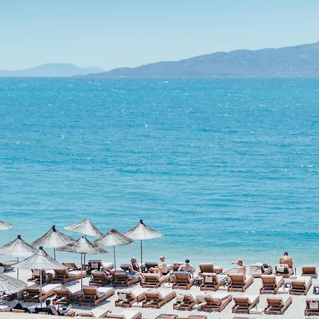 Elar Sarande